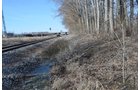 Property photo 14 - East Allen County - 55 Acre Land Auction